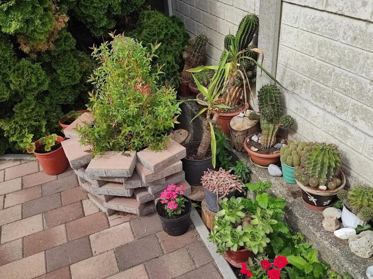 Appartamenti Delle Vacanze Keszthely Exterior foto